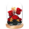 TEATSIGHT Preserved Flower Arrangement, Wrapped Glass Pot, 5 Wheels (Rose,