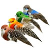 4pcs Artificial Birds Clip on Bird Ornaments with Feathers for