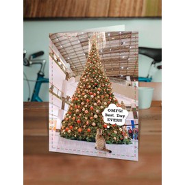 Brainbox Candy - Funny Christmas Card - 'Best Day Ever' - Cheeky Xmas Cards - For Friends, Family & Colleagues - Funny Cat Themed Christmas Card - 120mm x 170mm - Blank Inside