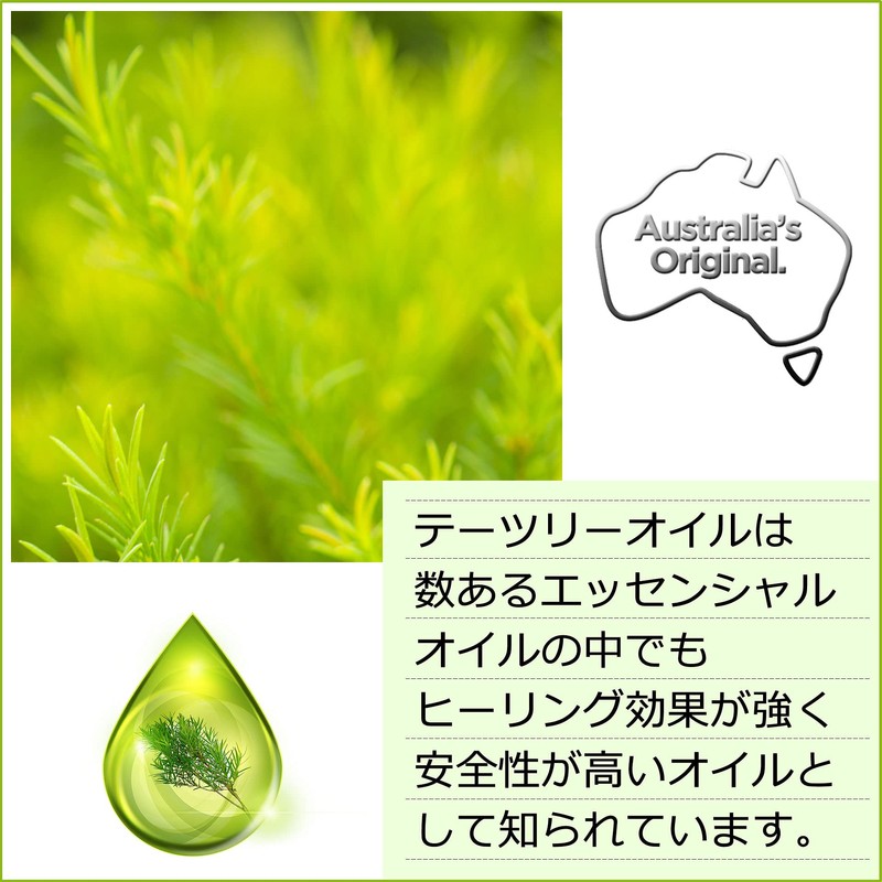 Tea Tree Everyday Shampoo