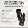 Shampoo Tinte Instantneo Cubre Canas Natural Jengibre 500ml