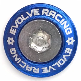 EVOLVERACING Anti-Theft Bolt Set for License Plate Specific Vehicle Inspection (Blue Bolt Length 0.6 inch (15 mm)