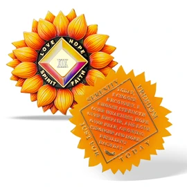 Sunflower Recovery Medallion Coin Inspirational Sobriety Chip with Serenity Message Love, Hope, Spirit & Faith Token Just for Today Gifts for Recovery and Strength (19 Years)