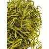 SuperMoss (26960) Spanish Moss Preserved, Chartreuse, 4oz