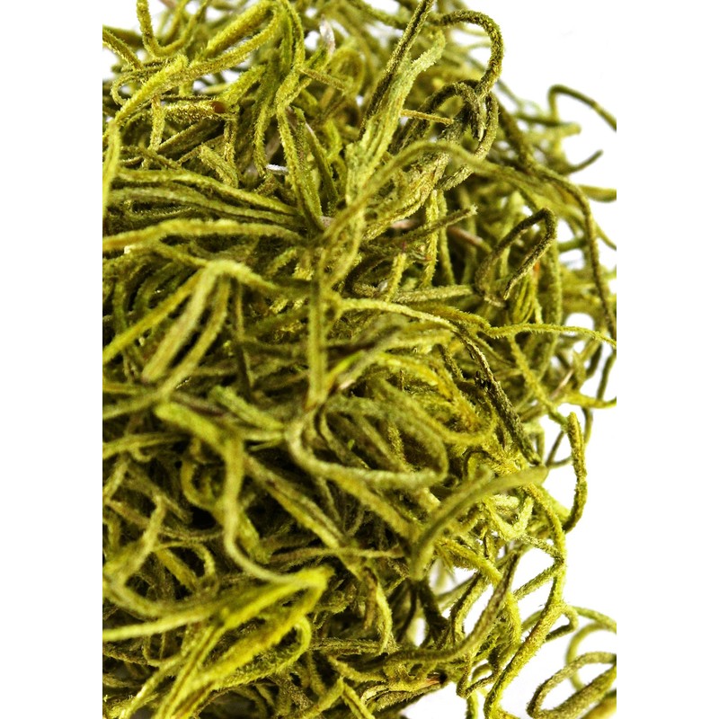 SuperMoss (26960) Spanish Moss Preserved, Chartreuse, 4oz