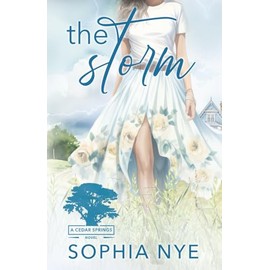 The Storm: A Cedar Springs Romance: 2