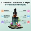 Lymphatic Drainage Drops, 25-in-1 Botanical Complex with Dandelion, Burdock Root,