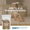 Hongo Cola de Pavo - En Polvo - Vegan -100