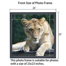ASXBMIJO 23x23 inch Picture Frame Solid Wood 23x23 Photo Frame 23x23 Poster Frame (A23B2323)
