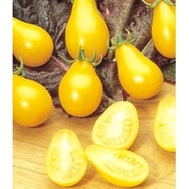 Yellow Pear Tomato 90 Seeds - Garden Fresh Pack!
