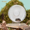 Niteangel Super-Silent Hamster Exercise Wheels - Quiet Spinner Hamster Running