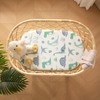SDIII Dinosaur Bassinet Sheet 2 Pack for Boy Girl, Soft