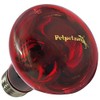 Zensui Strong Infrared Heat Lamp 40W 1 Pack (x1)
