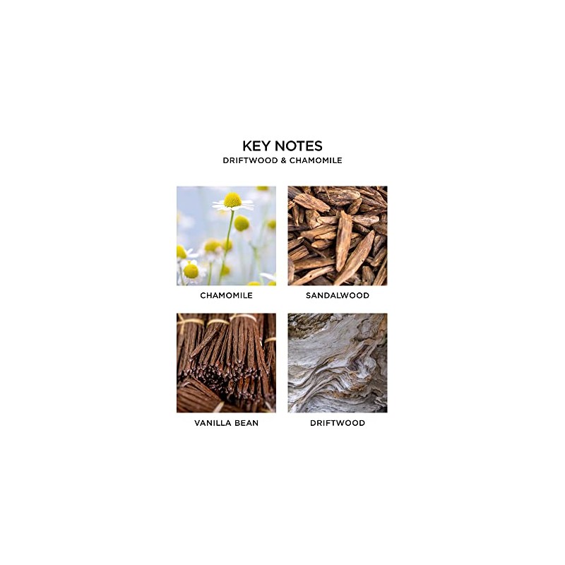 NEST Fragrances Driftwood & Chamomile Body Wash, 10 Fluid Ounces