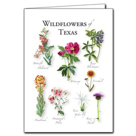 Earth Sky + Water - Wildflowers of Texas - 5_ X 7_ Greeting Cards