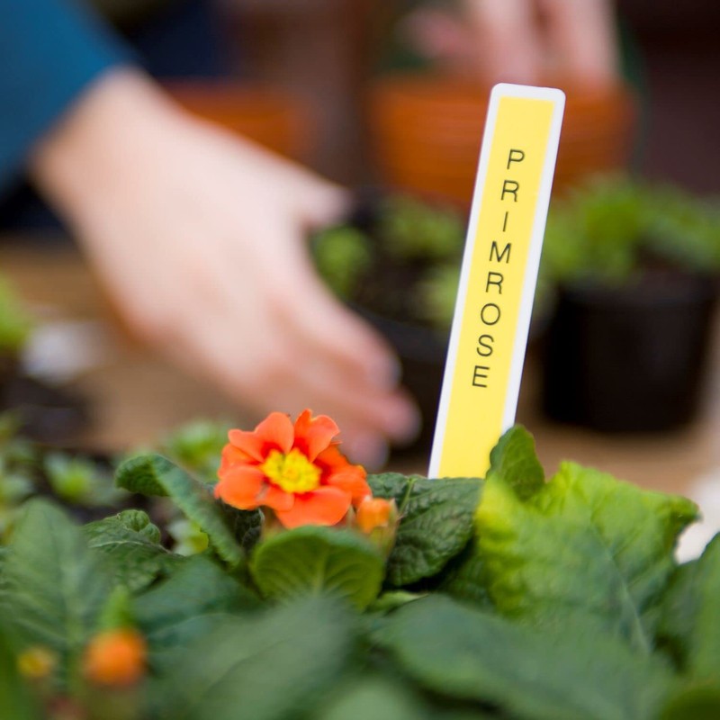 Brother P-Touch, PTH110BP, Easy Portable Label Maker Bundle (4 Label