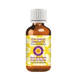 Deve Herbes Pure Zadoria Essential Oil (Curcuma zedoaria) Natural Therapeutic Grade Steam Distilled 50ml (1.69 oz)