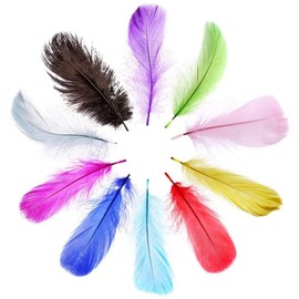 10pcs 25-30cm Fluffy Rainbow Ostrich Feathers Long Mixed Colors DIY Plume