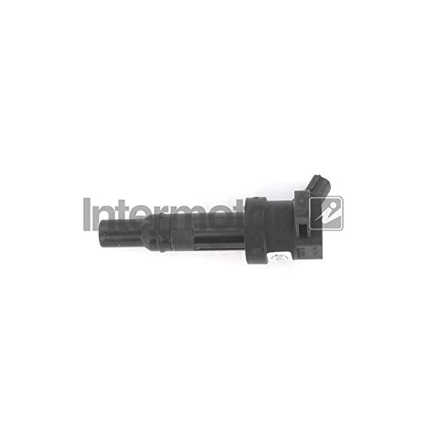 Intermotor 12164 Ignition Coil