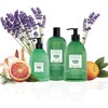 DR.TAFFI Organic Additive-Free Body Soap, Bath Soap (Refreshing Citrus Sporting