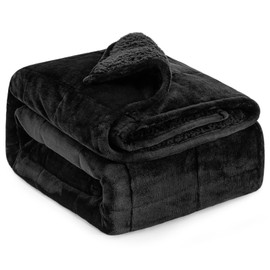 Lofus Sherpa Fleece Weighted Blanket 20 lbs Heavy Blanket with Soft Plush Flannel Reversible Full-Size Super Soft Extra Warm Cozy Fluffy Blanket 60 x 80 inches for Adult Bed Couch, Black