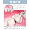 Cata-MEDICA デンタルプローブ 歯石取り 自宅 での 歯石 ヤニとり 除去 ステンレス