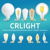 CRLight 5-inch 15W 4000K Neutral Opal G125 Large Globe LED