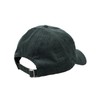 IRIEDAILY Corvin Dad Cap, Hunter