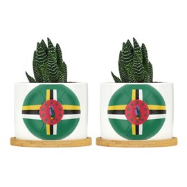 DecStic Soccer Dominica Flag Planter Ceramic Festival Flags Round Plant Pots with Drainage Holes and Bamboo Tray Pot for Succulents Cactus Garden Windowsill