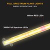 LED Grow Light for Indoor Plants, Grow Lights 80W Full