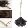 Aldwin Ostrich Feather Duster with Extension Pole Up to 43