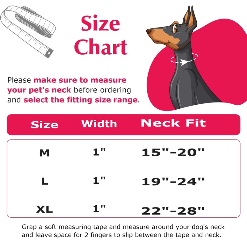 Martingale Dog Collar with Chain, No Pull Slip Cinch Choker