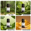 GLMIST Essential Oils Set for Diffusers for Home, Includes Eucalyptus