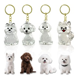 4 Pack Dog Hair Keychain | Set for pet - Keepsake Bottle to Preserve Fur | Memorial Gift for Pet, Pet Lover Accessory