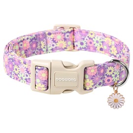 DOGWONG Flower Dog Collar, Girl Daisy Dog Collar Durable Ice Cream Pet Dog Collars Cute Summer Beach Puppy Necklace for Small Medium Large Dogs