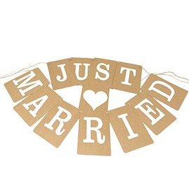 Wedding Bunting Banners Card Photo Prop - Wedding Decoration 13 (Just Married - Vintage Sqaure)