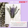 120 PCS Dried Eucalyptus Stems & Lavender Flowers Bundle for