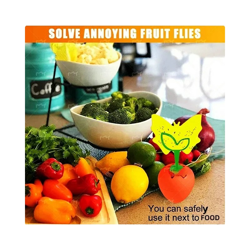 Unbranded 2-Pack Reusable Fruit Fly Traps with 16 Sticky Pads