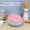 Homienly Deep Dinner Plates Set of 8 Alternative for Plastic