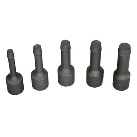 Hess eLink® Be 300 Special Screw Extractor Set, 5-Piece
