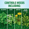 Roundup for Lawns₅ Concentrate for Use on Southern Grasses, Kills