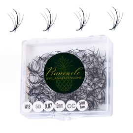 500 Wispy Premade Volume Lash Fans – Single Length | False Eyelash Extensions Supplies for Lash Artists | Narrow Base, Handmade, Lightweight Promade Volume Fans + Premade Spike | Handmade by Pinneacle Lash | 0.07 (5D | CC curl | 13mm)