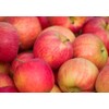 100 Pcs Apple Seeds for Planting, Heirloom, Non GMO