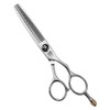 Titan Scissors | Thinning Scissors | Silver Screw Head |