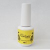 GELIXIR - No Wipe Top Coat