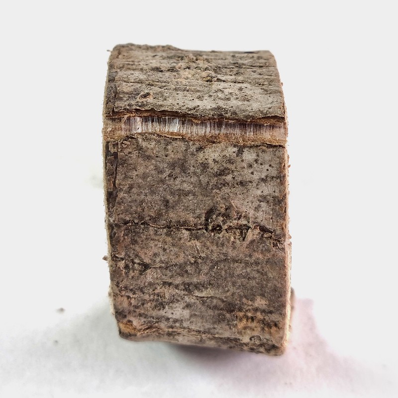 Oh Herb Domestic Euchung tree bark 500g / 국산 두충