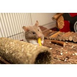 SIMENA Wooden Hamster Suspension Bridge Toy – Natural Climbing Ladder for Dwarf Hamsters, Syrian Hamsters, Mice, Gerbils & Small Pets (Natural, 19.7")