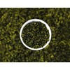 QuaZenTea - High Mountain Vietnamese Oolong Tea Loose Leaf (100g)