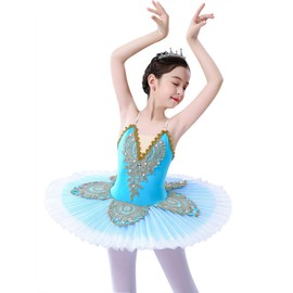 ZX Girl's Camisole Skirted Leotards Professional Ballet Performance Costume Sequin Lace Swan Ballet Tutu Dress Tag 110, Blue
