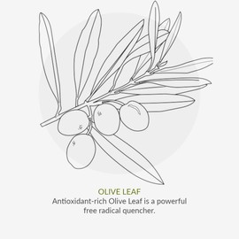 Green People Scent Free Hand Wash 300ml| Natural & Organic Hand Wash | Eczema-Friendly Ultra-Gentle Hand Wash for Sensitive Skin | Paraben Free, SLS Free & Unperfumed | Cruelty Free & Vegan